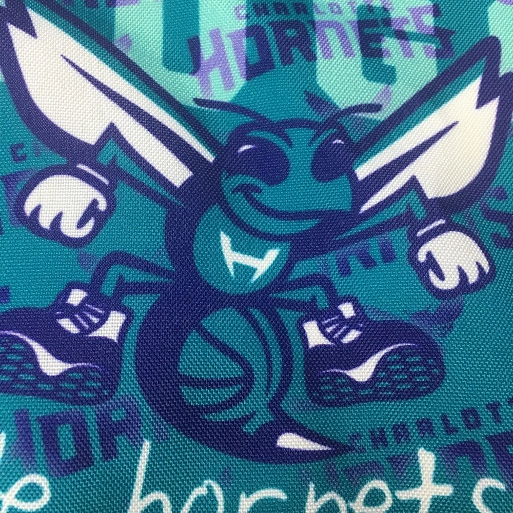 Hugo Little Hornets Fan Teal & Purple Baby Bib